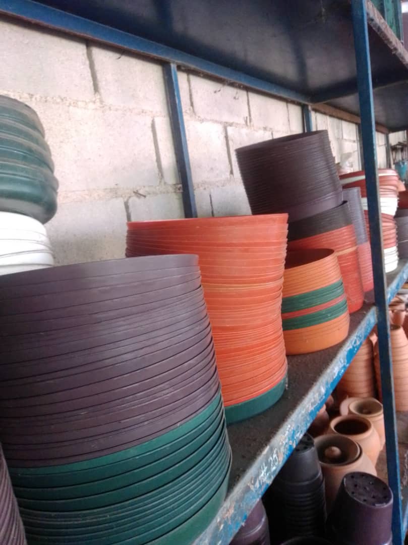 Plato de plástico - Vivero Mañongo c.a