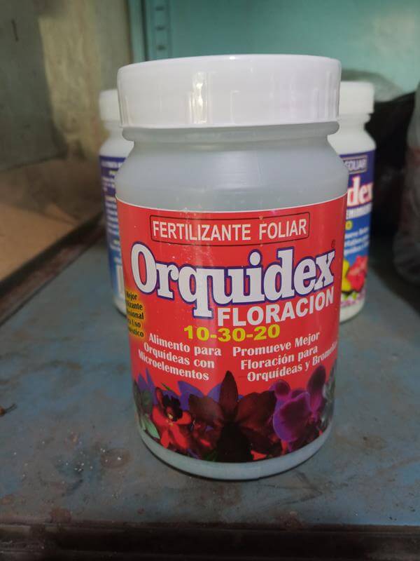 Orquidex floración - Vivero Mañongo c.a