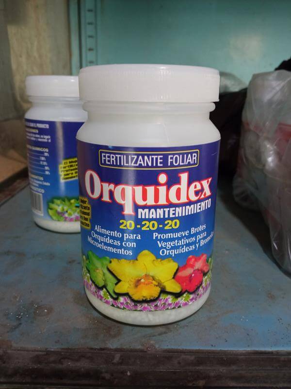 Orquidex mantenimiento - Vivero Mañongo c.a