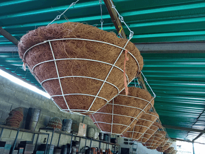 Cestas y forros de coco - Vivero Mañongo c.a